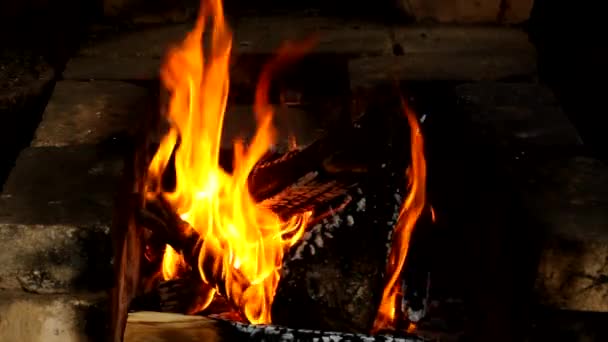 Falò Bruciando Nel Forno — Video Stock