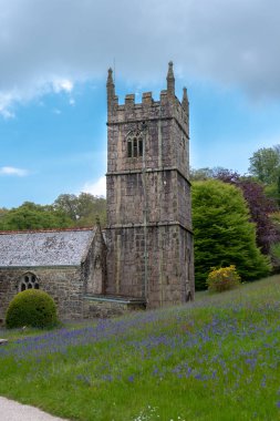 Eski kilise kule bluebells çayır üzerinde