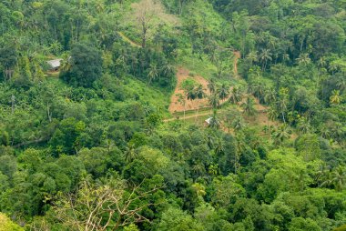 Orman Sri Lanka