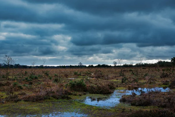 Stormy clouds over New Forest countryside Royalty Free Stock Photos
