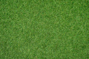 Arka plan için yeşil çim. Yeşil çim arka plan. doku. üstten görünüm.