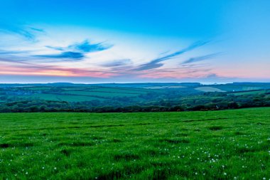 Grasss ve Cornwall ağaçlarda üzerinde saat akşam