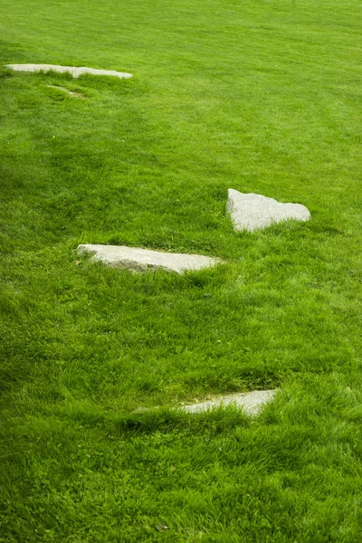 Steen Met Groen Gras Achtergrond Voor Tuin Ontwerp — Stockfoto