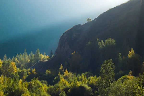 Geri Kalanı Üzerinde Bir Küçük Ağaç Sonbahar Dağ Gün Batımı — Stok fotoğraf