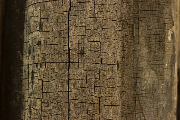 Stare Drewno Pęknięty Tło — Zdjęcie stockowe