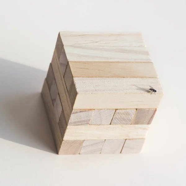 Dřevěné Bloky Bílém Pozadí Bodnutí Mouchou Krychli Koncepce — Stock fotografie