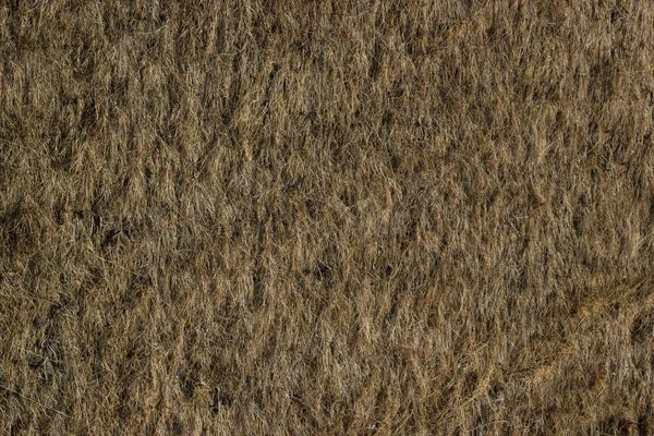 Dry Grass Land Background — Stock Photo, Image