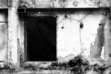 Terk edilmiş bir evde grunge arka plan - küçük siyah kuş