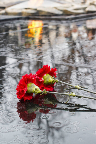 Два красных хризантемы на черном граните под дождем
.