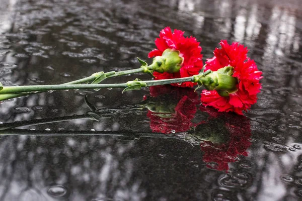 Röda blommor på svart granit i regnet. — Stockfoto