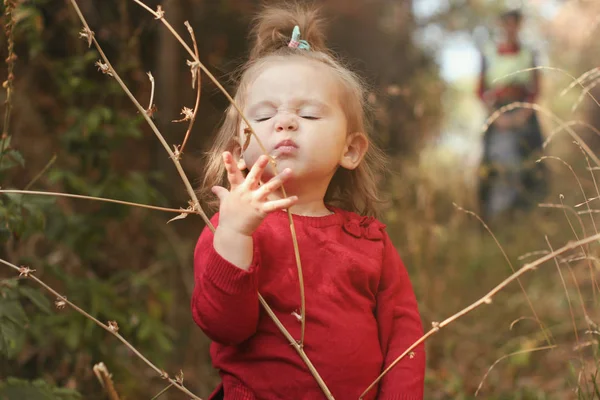 Little toddler girl portrait in red cute blouse, sniffs the autumn twig . Winter is coming.
