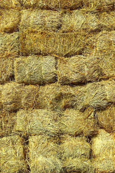 Straw briquette texture on a sunny day with natural light — Stock Photo, Image