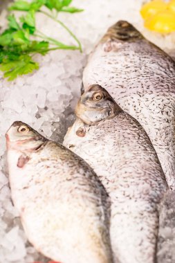Balık mağazası. Dükkanın vitrininde deniz ürünleri var. Çiğ taze et piyasada buz üzerinde satılmaktadır. Somon biftek ve dorada tezgahta.