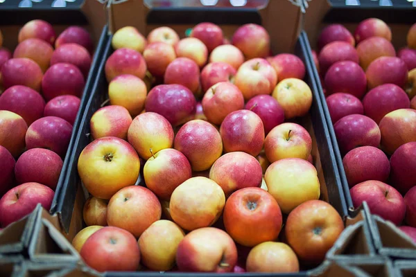 Schöne Frucht Hintergrund mit roten Äpfeln in einem Karton — Stockfoto