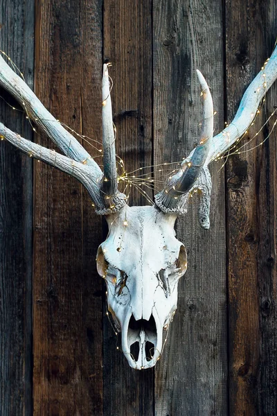 evil elegant skull of a deer with a garland for Halloween on wooden background
