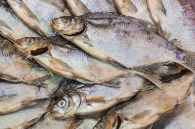 Kurutulmuş balık arka plan. Kopya alanı ile tuzlu kuru nehir balık üst görünümü