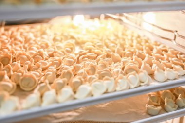 Açık üretim buzdolabında birçok dondurulmuş köfte. Dondurulmuş yarı mamul gıda depolama rafları.