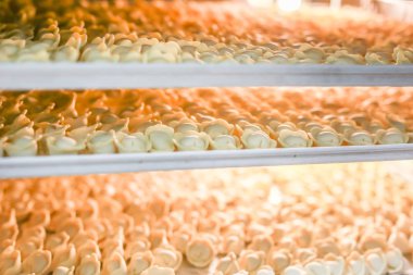 Açık üretim buzdolabında birçok dondurulmuş köfte. Dondurulmuş yarı mamul gıda depolama rafları.