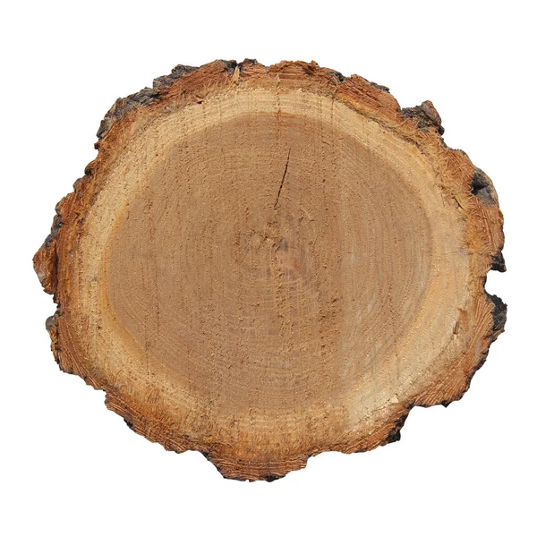 Cut Sawn Wood Piece Wood White Background — Stock Photo, Image