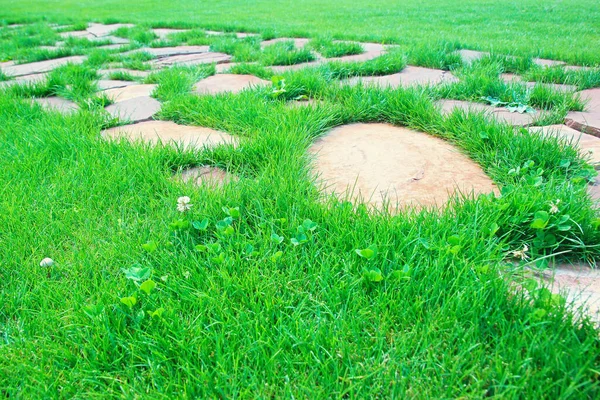 Die Straße Aus Steinen Auf Dem Hintergrund Von Rasengras Grüne — Stockfoto