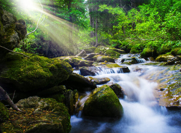 Sun Beams Through Trees Over Cool Mountain Stream Flowing Through Lush Green Forest