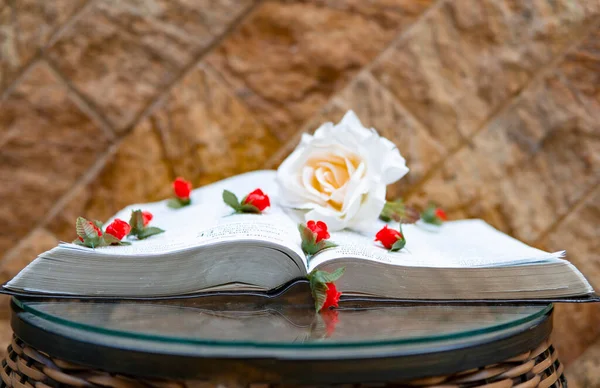 Роза Святой Библии Элеганте Цветочными Бутонами — стоковое фото