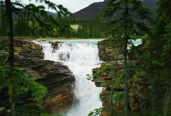 Cachoeira Rio Montanha Rochosa Nas Montanhas Colorado — Fotografia de Stock