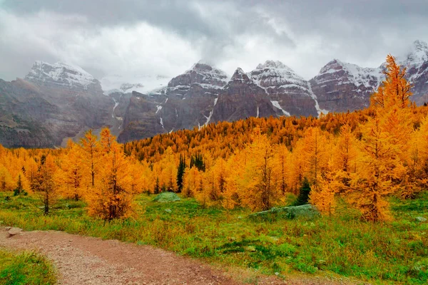 Cordillera Épica Pleno Otoño Gloria Color Dorado Aspen Paisaje —  Fotos de Stock