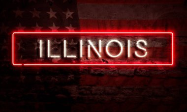 Illinois Eyaleti Pop Sanatı, Amerikan Bayrağıyla Tuğla Duvarında Neon Yazısı