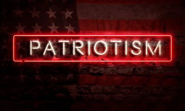 Patriotism Word Pop Art Grunge Brick Wall Lit Neon Sign — Stock Photo, Image