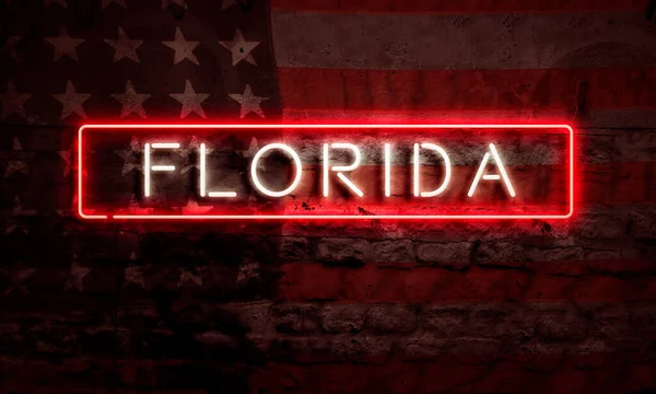Florida Pop Art Word Neon Sóhaj Amerikai Zászló Grunge Brick — Stock Fotó
