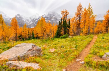 Beautiful fall path landscape with colorful trees in autumn mountains clipart