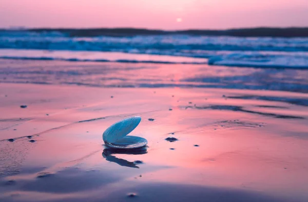 Gyönyörű Nyugodt Strand Naplementekor Kagylóval Finom Árnyalattal Stock Fotó