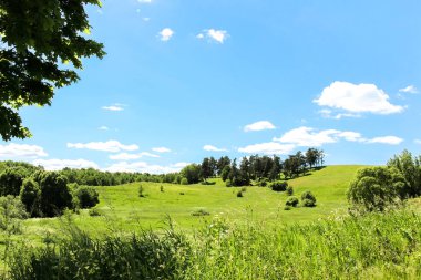 alanları ve orman içinde yaz