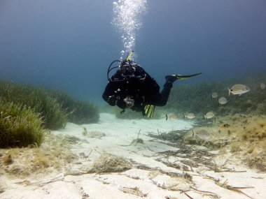 Kuru elbise dalgıç. Akdeniz, Malta.