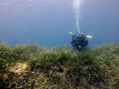 Kuru elbise dalgıç. Akdeniz, Malta.