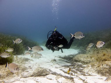 Kuru elbise dalgıç. Akdeniz, Malta.