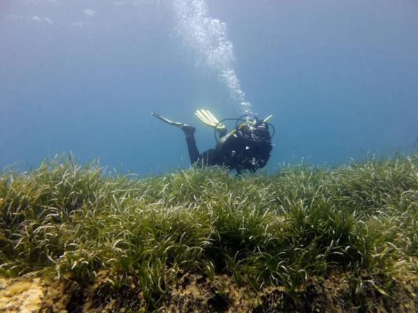 Kuru Elbise Dalgıç Akdeniz Malta — Stok fotoğraf