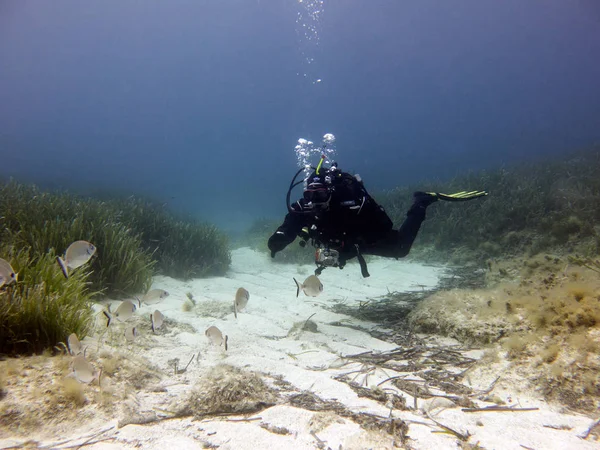 Kuru Elbise Dalgıç Akdeniz Malta — Stok fotoğraf