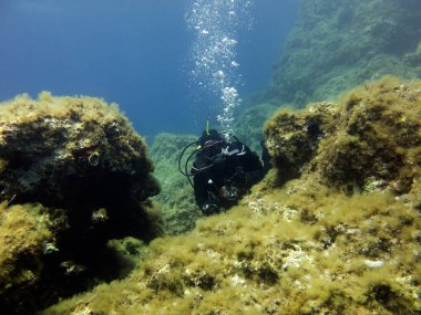Kuru elbise dalgıç. Sualtı manzara. Akdeniz, Malta. 