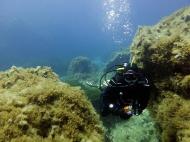 Kuru elbise dalgıç. Sualtı manzara. Akdeniz, Malta.