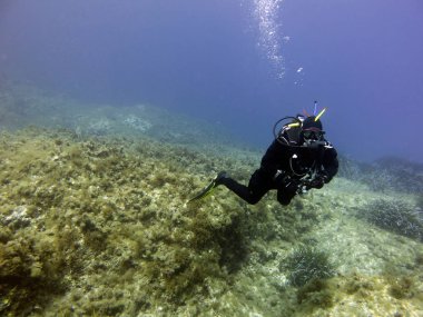 Kuru elbise dalgıç. Sualtı manzara. Akdeniz, Malta.