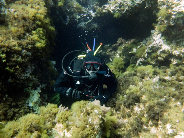 Plongeur Combinaison Sèche Plongée Caverne Méditerranée Malte — Photo