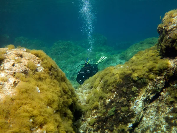 Kuru Elbise Dalgıç Sualtı Manzara Akdeniz Malta — Stok fotoğraf