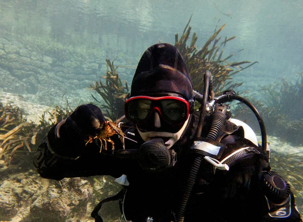 Сухий Костюм Водолаз Печера Занурення Blue Springs Маріанна Джексон Флорида — стокове фото