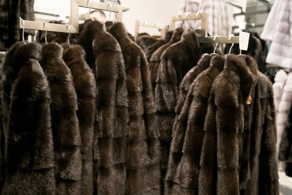 Luxury fur coats hanging on rack