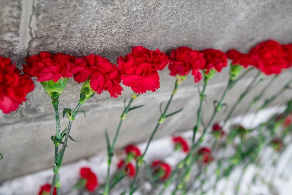 laying flowers on the day of memory or tragedy in winter