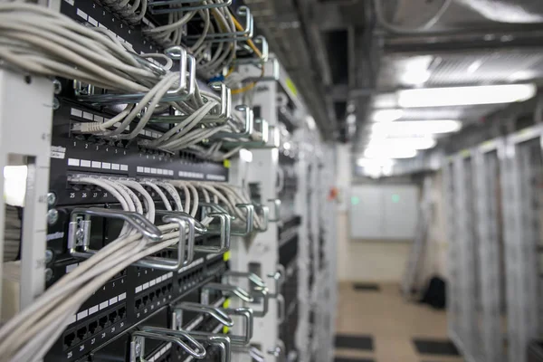 Server rack with red internet patch cord cables connected to patch panel in server room