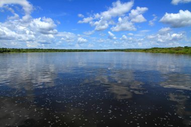 Bir nehir görüldüğü gibi Uganda Nil Nehri'nin orta cruise gemi Murchison Falls Milli Parkı'nda