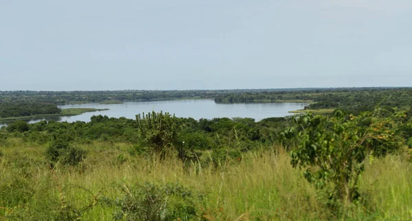 マーチソンフォールズ国立公園 ウガンダのナイル川の開始時緑のジャングルを見渡す — ストック写真